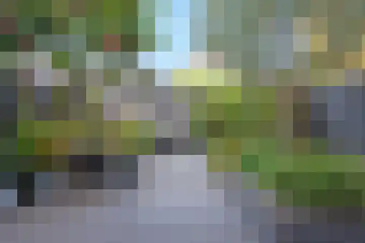 Snijdersberg 54 Amersfoort thumbnail 34