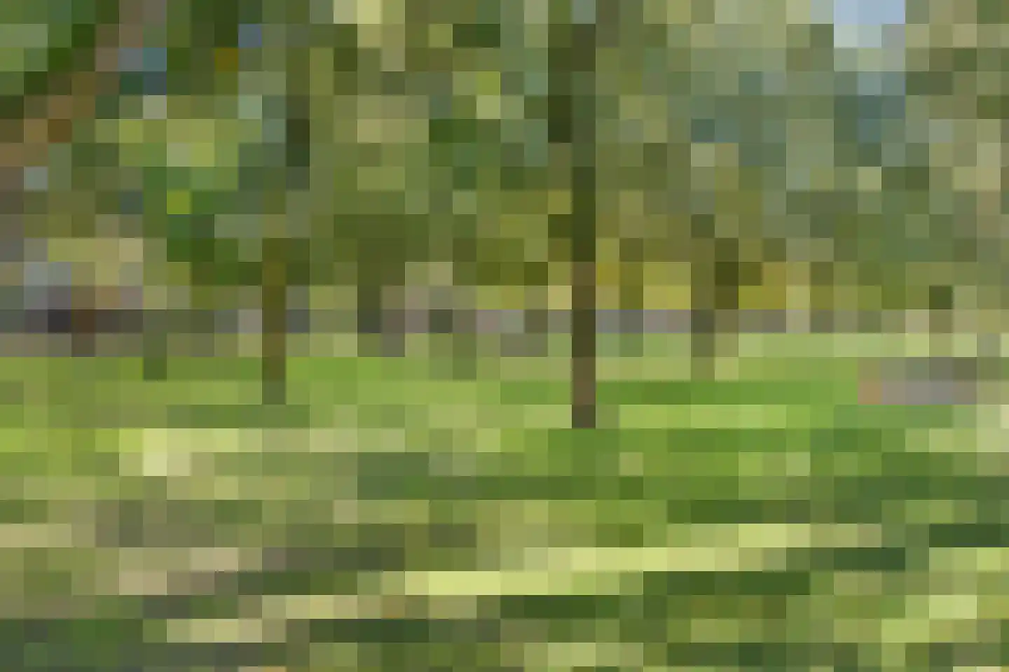 Snijdersberg 67 Amersfoort thumbnail 35