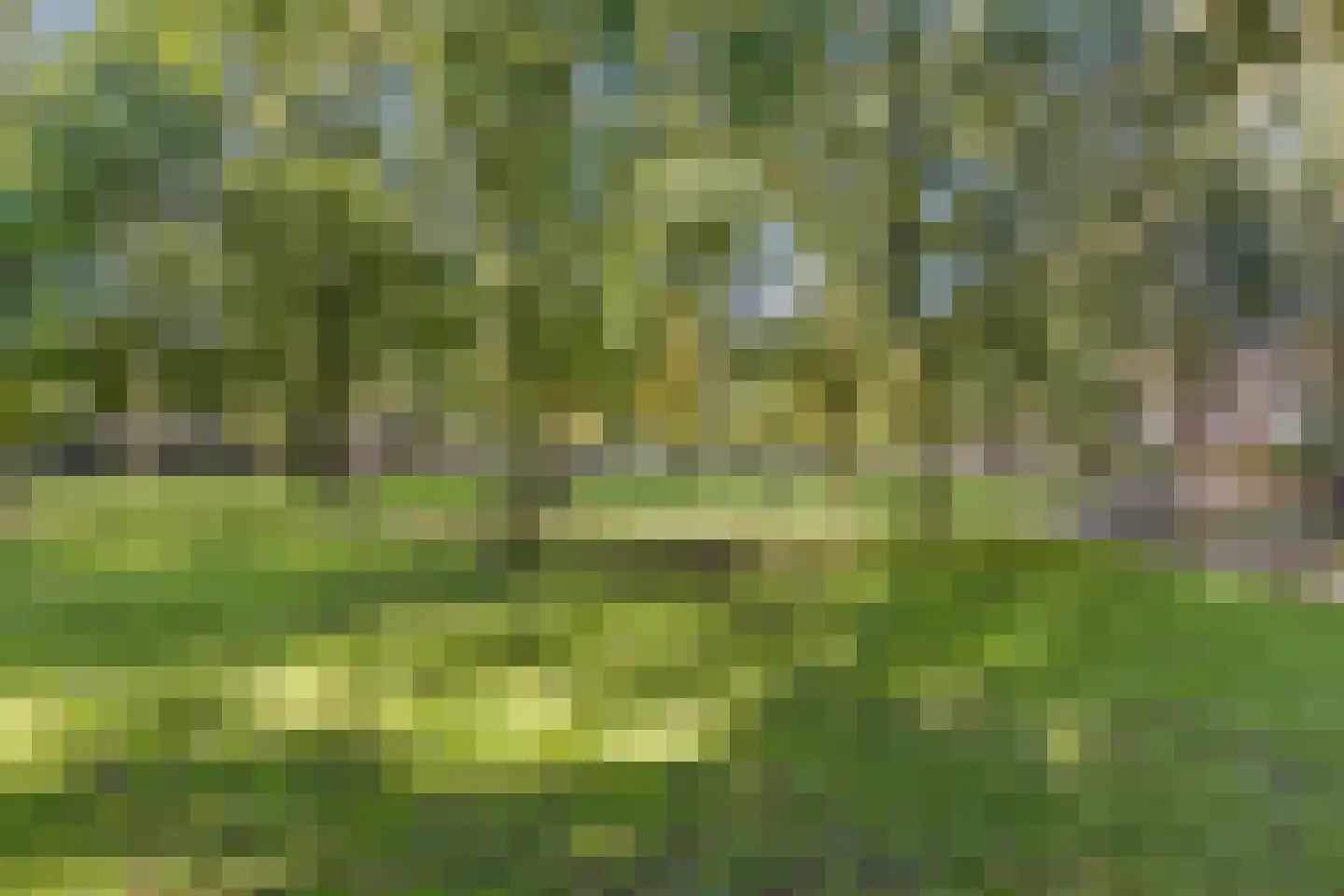 Snijdersberg 67 Amersfoort thumbnail 36