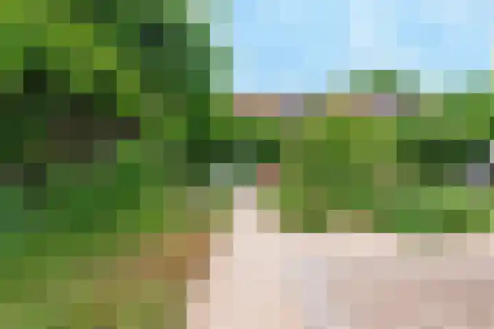 Snijdersberg 87 Amersfoort thumbnail 43