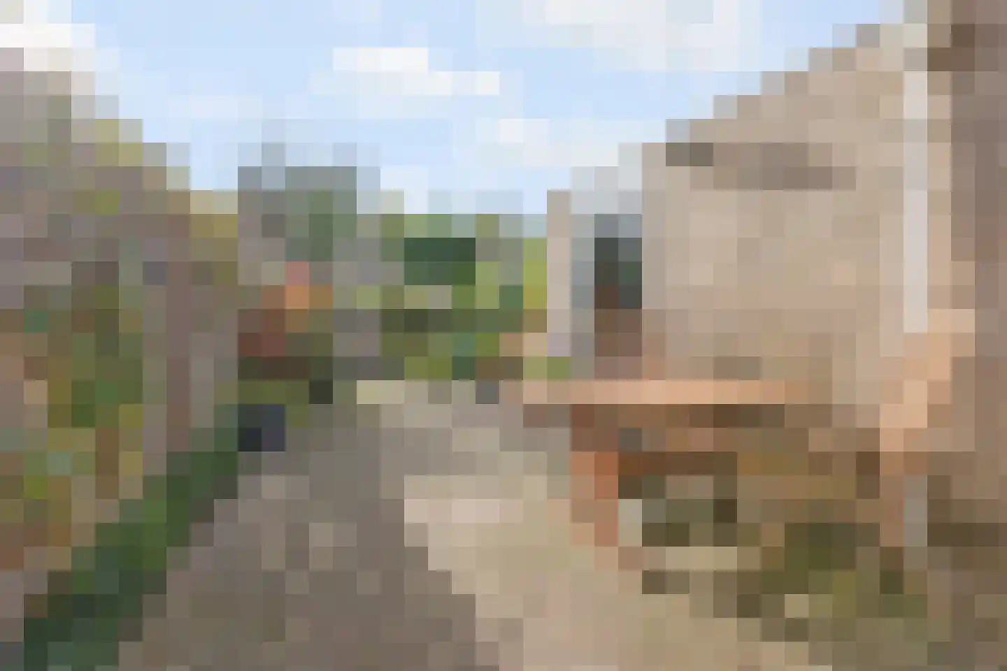Snijdersgilde 7 Houten thumbnail 22