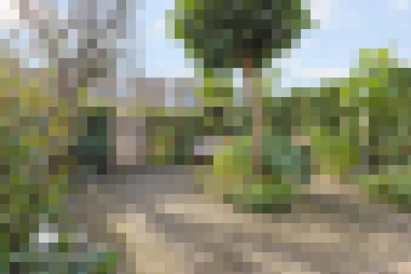 Snijdersgilde 7 Houten thumbnail 23