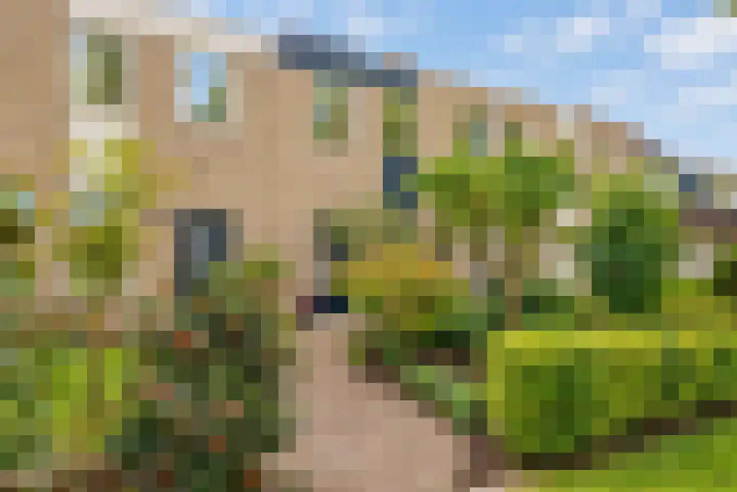 Snijdersgilde 7 Houten thumbnail 42