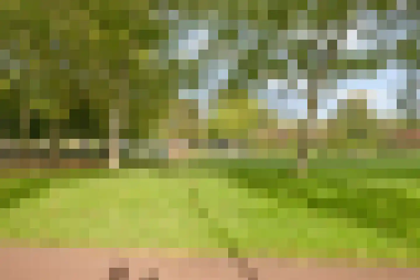 Snijdersgilde 7 Houten thumbnail 43
