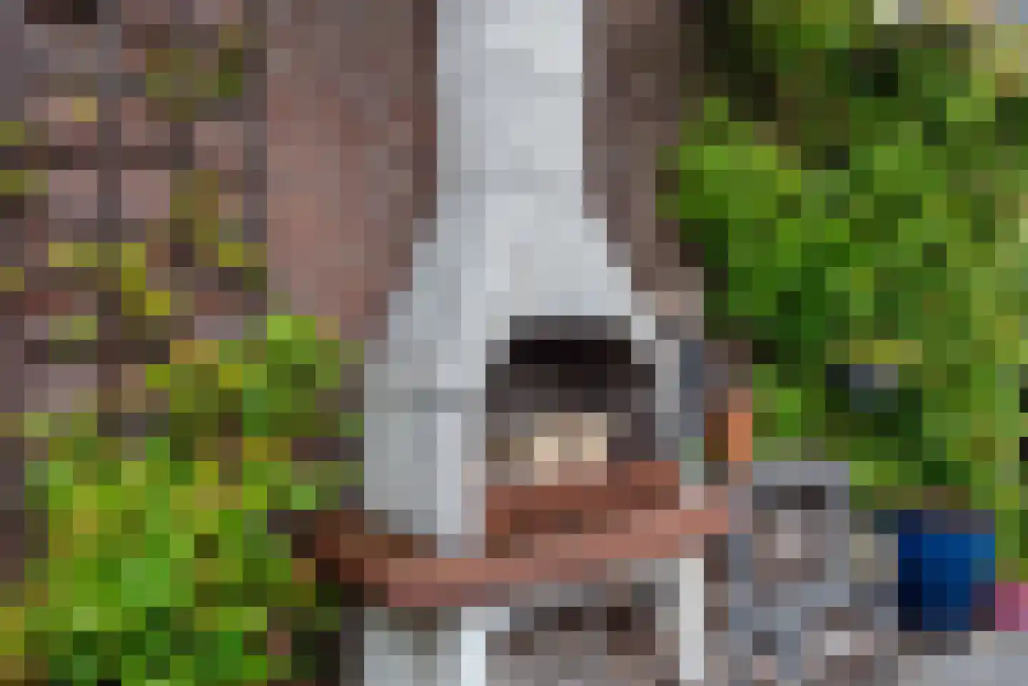 Snijdershof 73 Obdam thumbnail 29