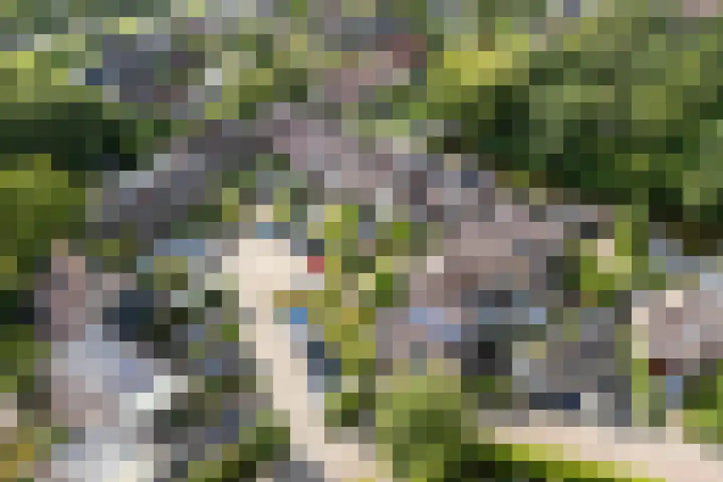 Snijdershof 73 Obdam thumbnail 36