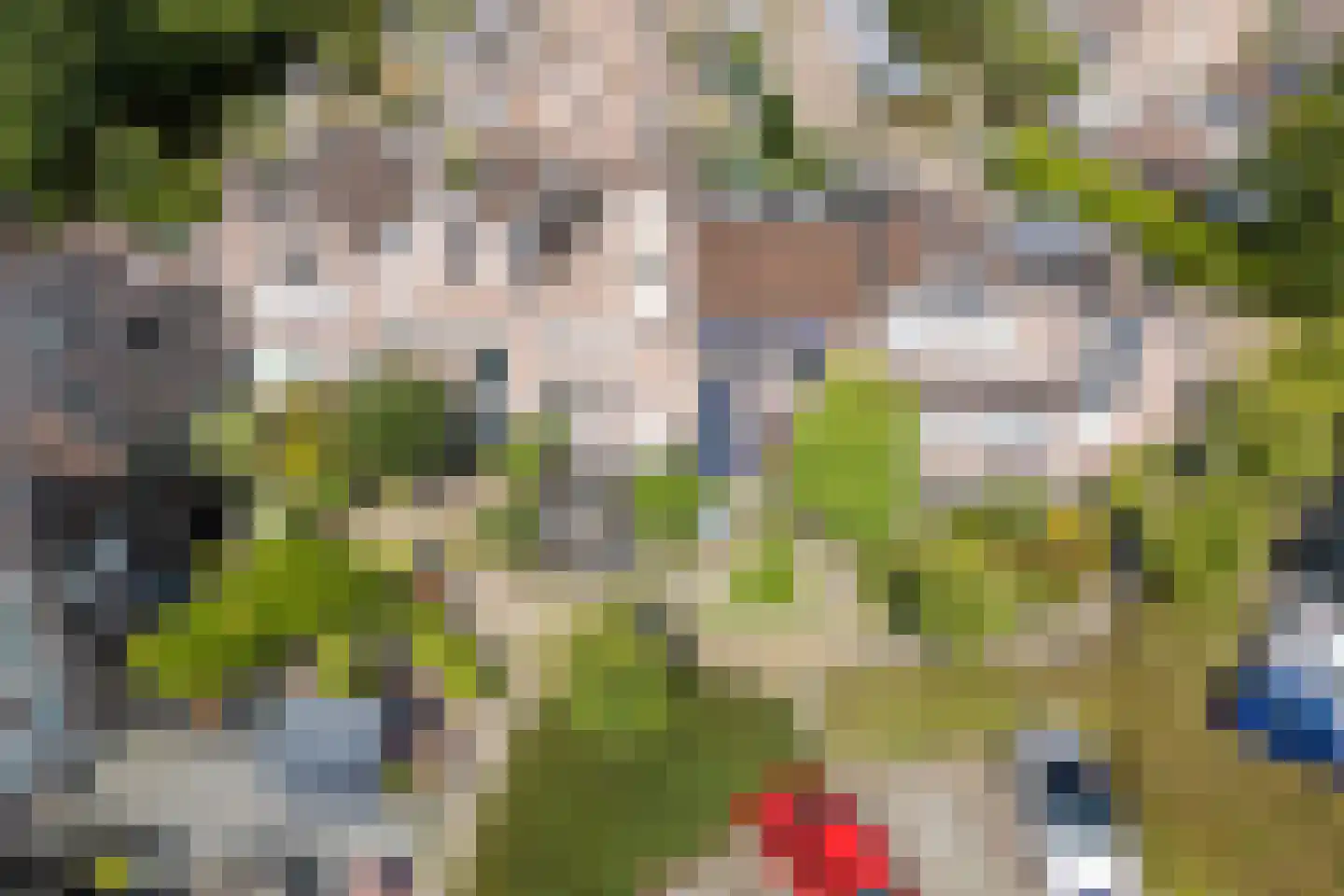 Snijdershof 73 Obdam thumbnail 4