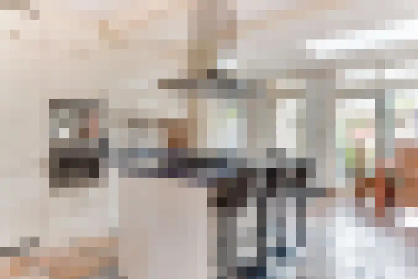 Snijdershof 73 Obdam thumbnail 8