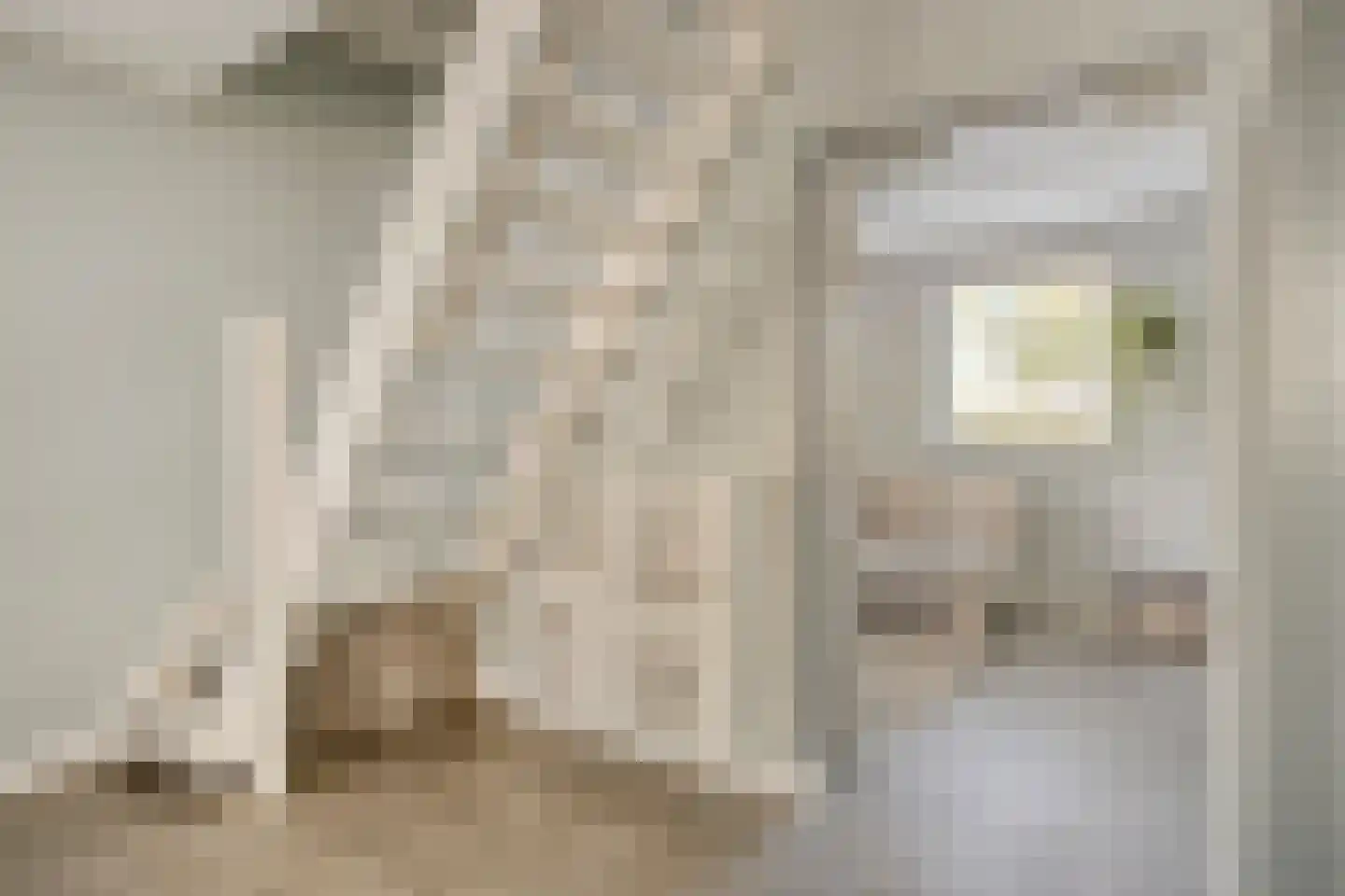 Snijdershof 75 Obdam thumbnail 21