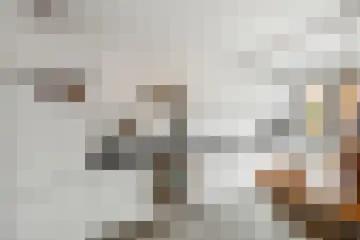 Snijderspad 3 Diepenveen thumbnail 11
