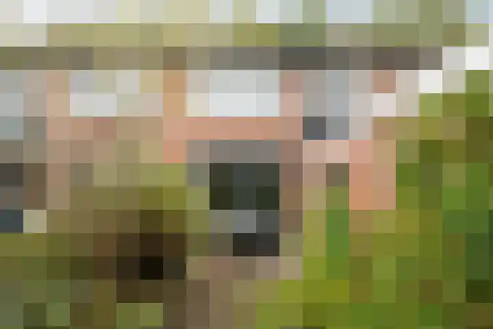 Snijderspad 3 Diepenveen thumbnail 16