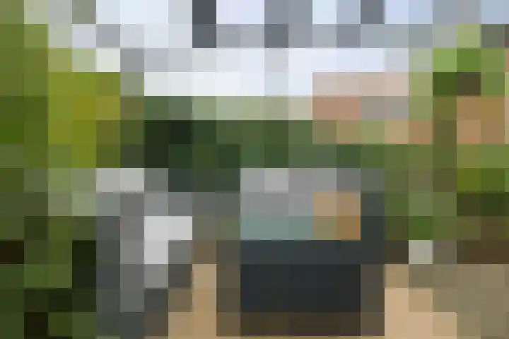 Snijderspad 3 Diepenveen thumbnail 18