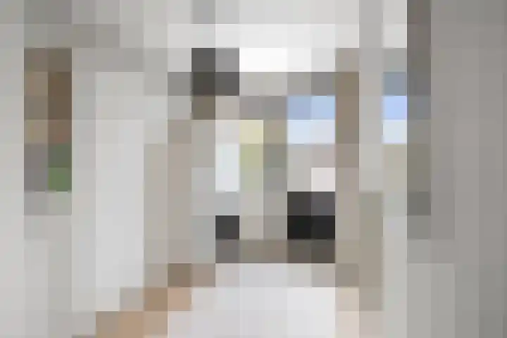 Snijderspad 3 Diepenveen thumbnail 23
