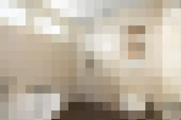Snijderspad 3 Diepenveen thumbnail 26