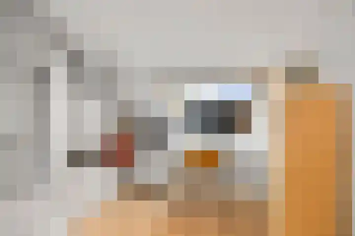 Snijderspad 3 Diepenveen thumbnail 29