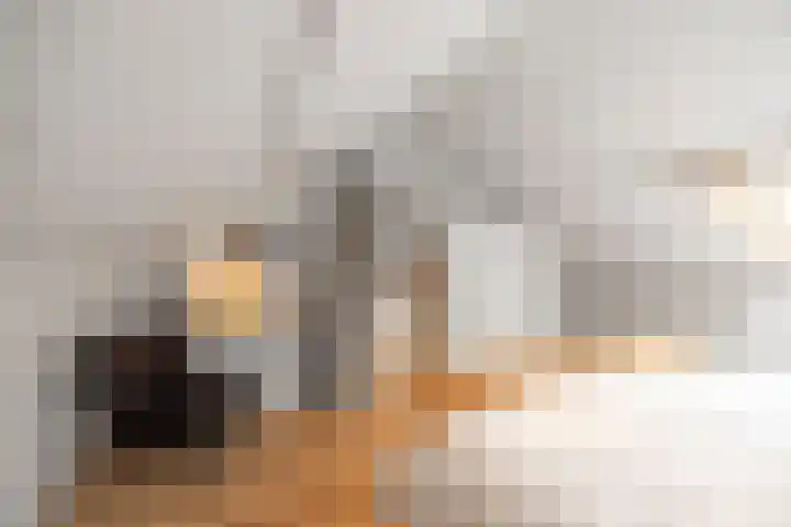 Snijderspad 3 Diepenveen thumbnail 31