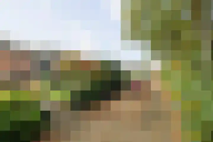Snijderspad 3 Diepenveen thumbnail 32