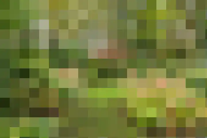 Snijderspad 3 Diepenveen thumbnail 33