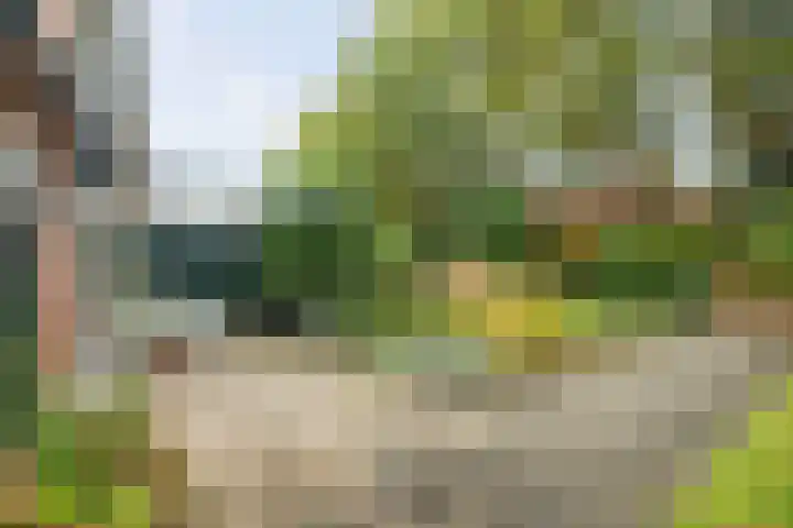 Snijderspad 3 Diepenveen thumbnail 6