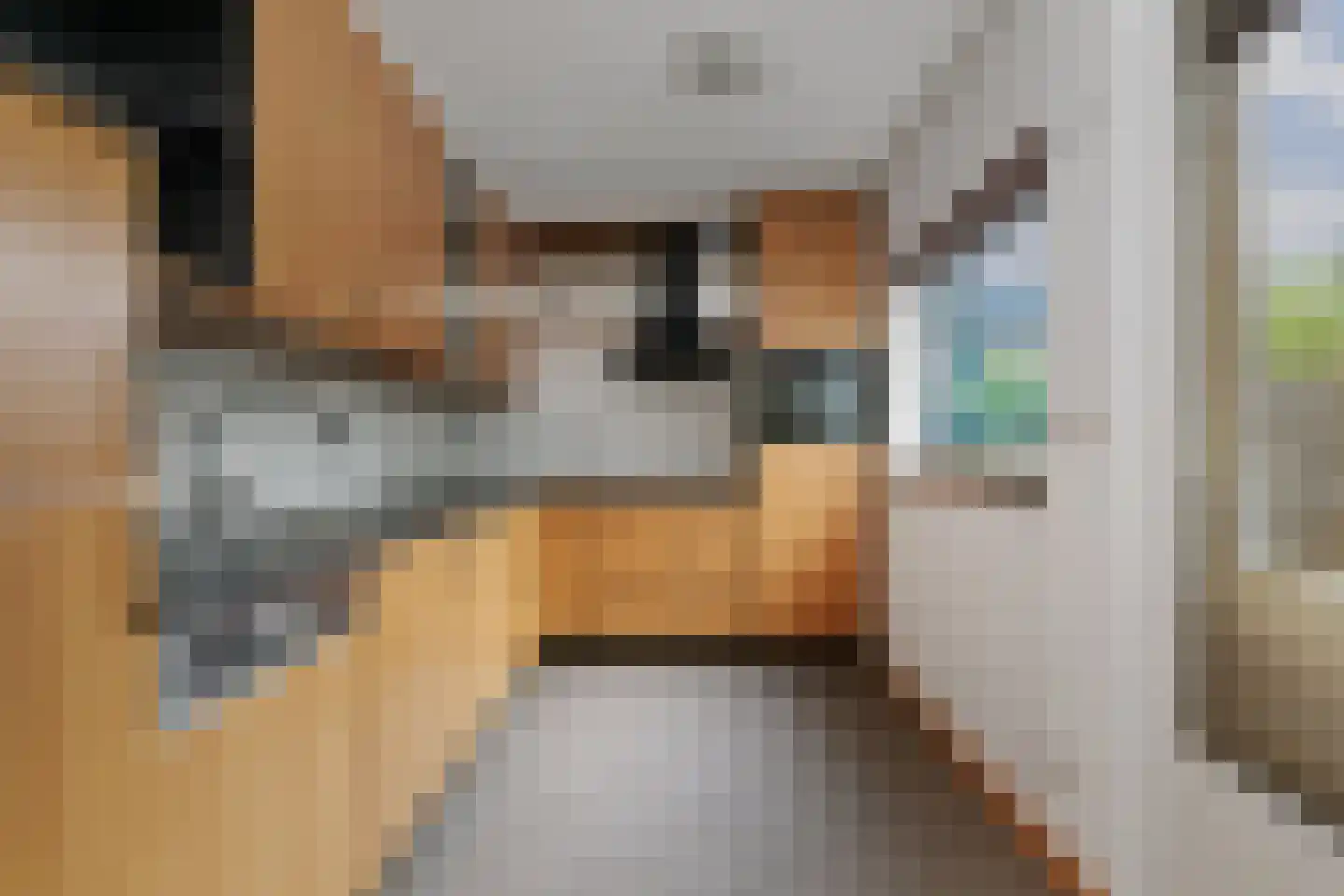 Snijderspad 7 Diepenveen thumbnail 11