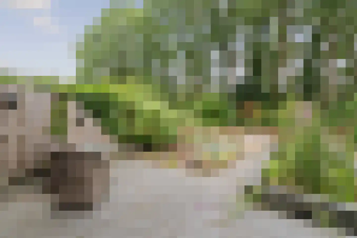 Snijderspad 7 Diepenveen thumbnail 30