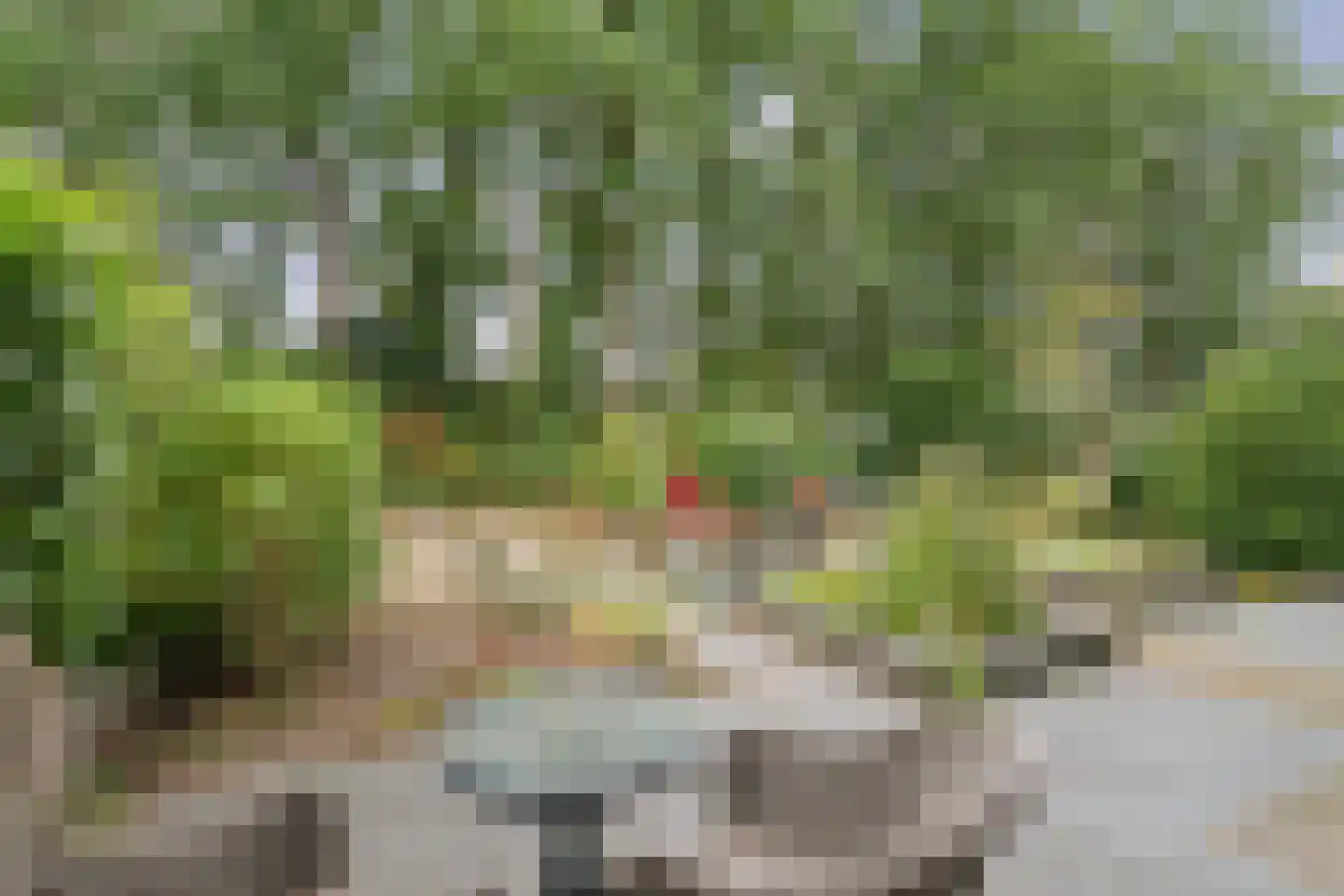 Snijderspad 7 Diepenveen thumbnail 31