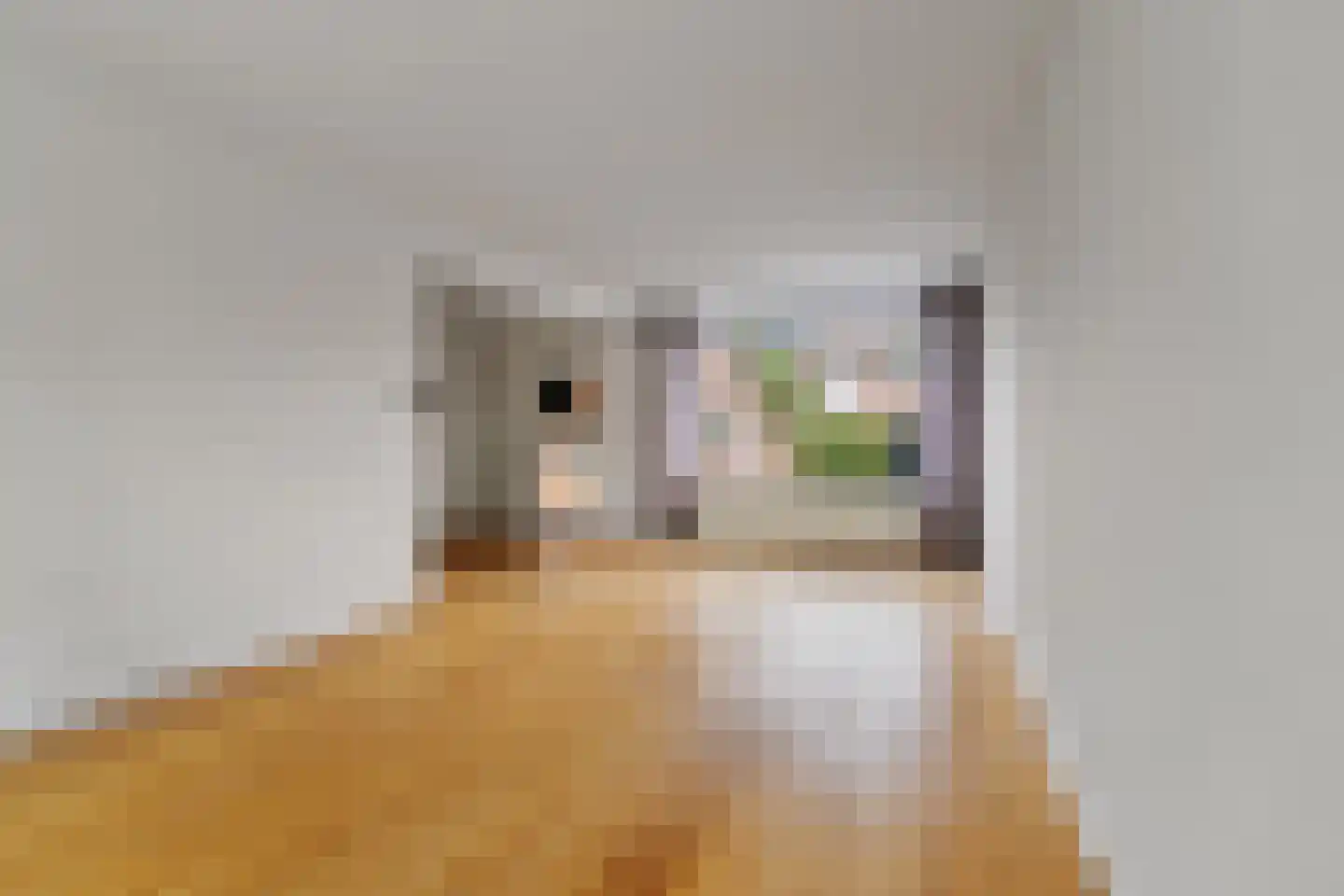 Snijderspad 7 Diepenveen thumbnail 5