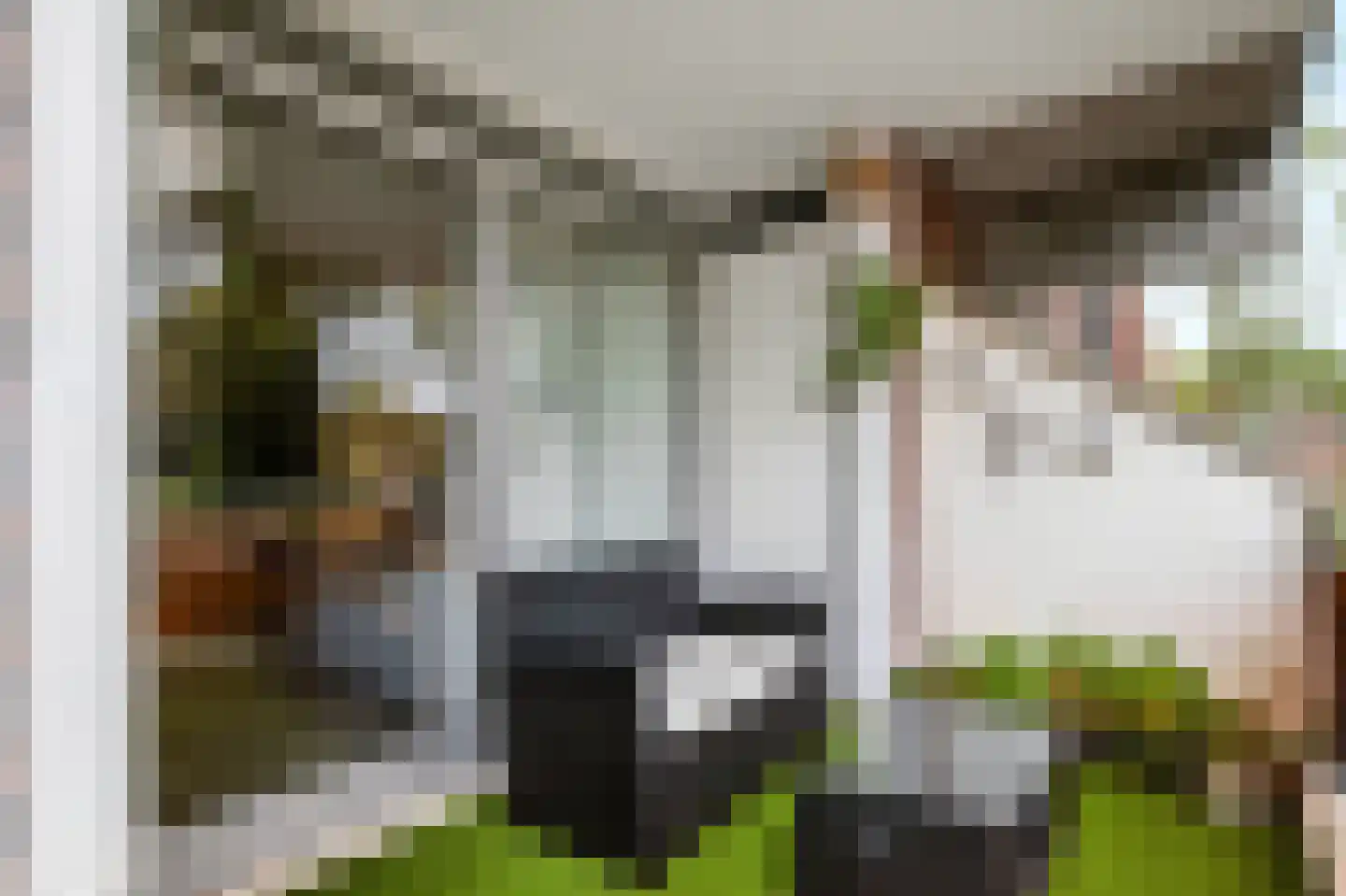 Snijdersplaats 203 Apeldoorn thumbnail 10