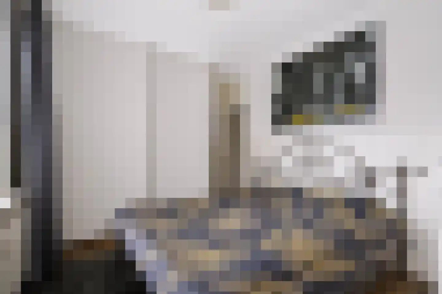 Snijdersplaats 203 Apeldoorn thumbnail 15