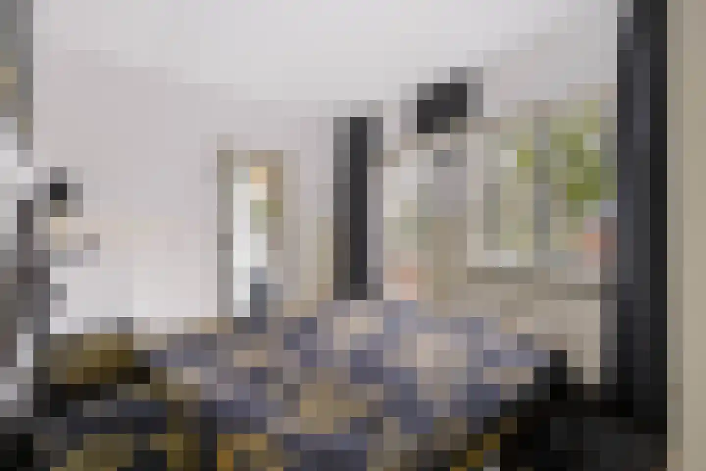 Snijdersplaats 203 Apeldoorn thumbnail 16