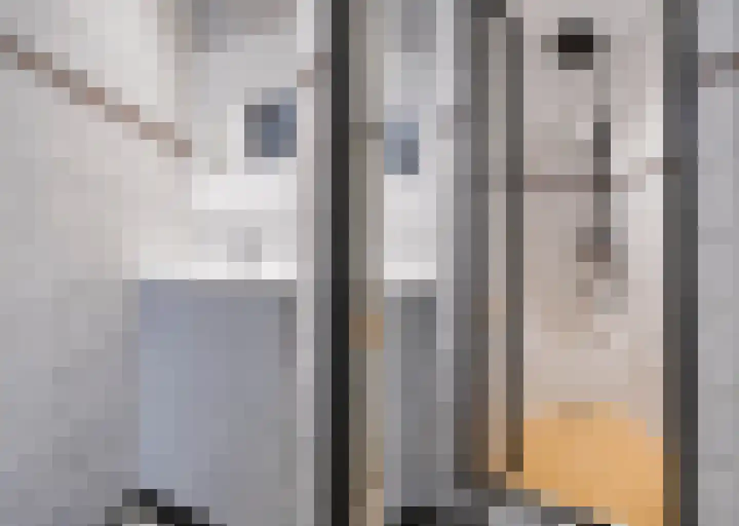 Snijdersplaats 203 Apeldoorn thumbnail 17