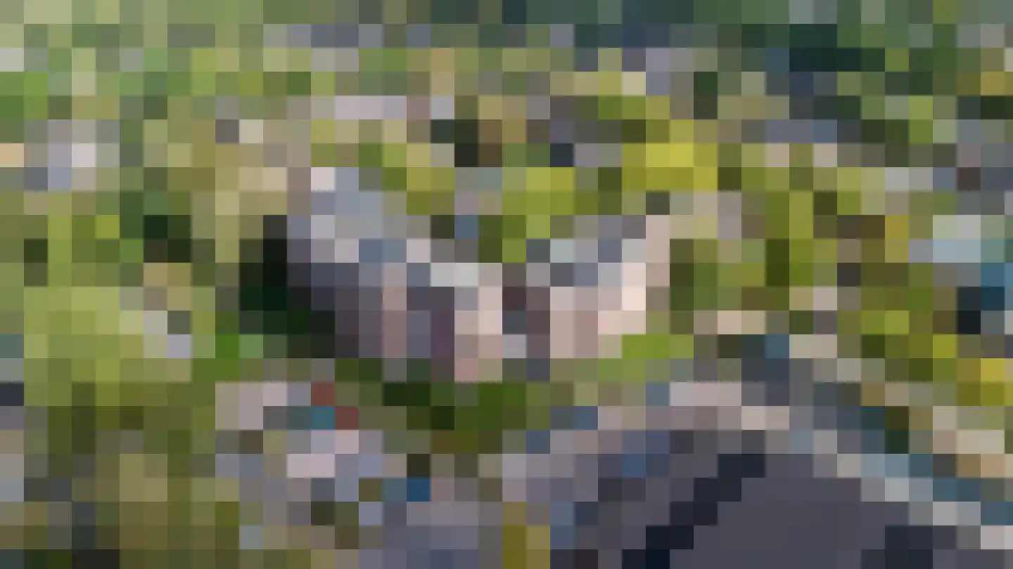 Snijdersplaats 203 Apeldoorn thumbnail 22