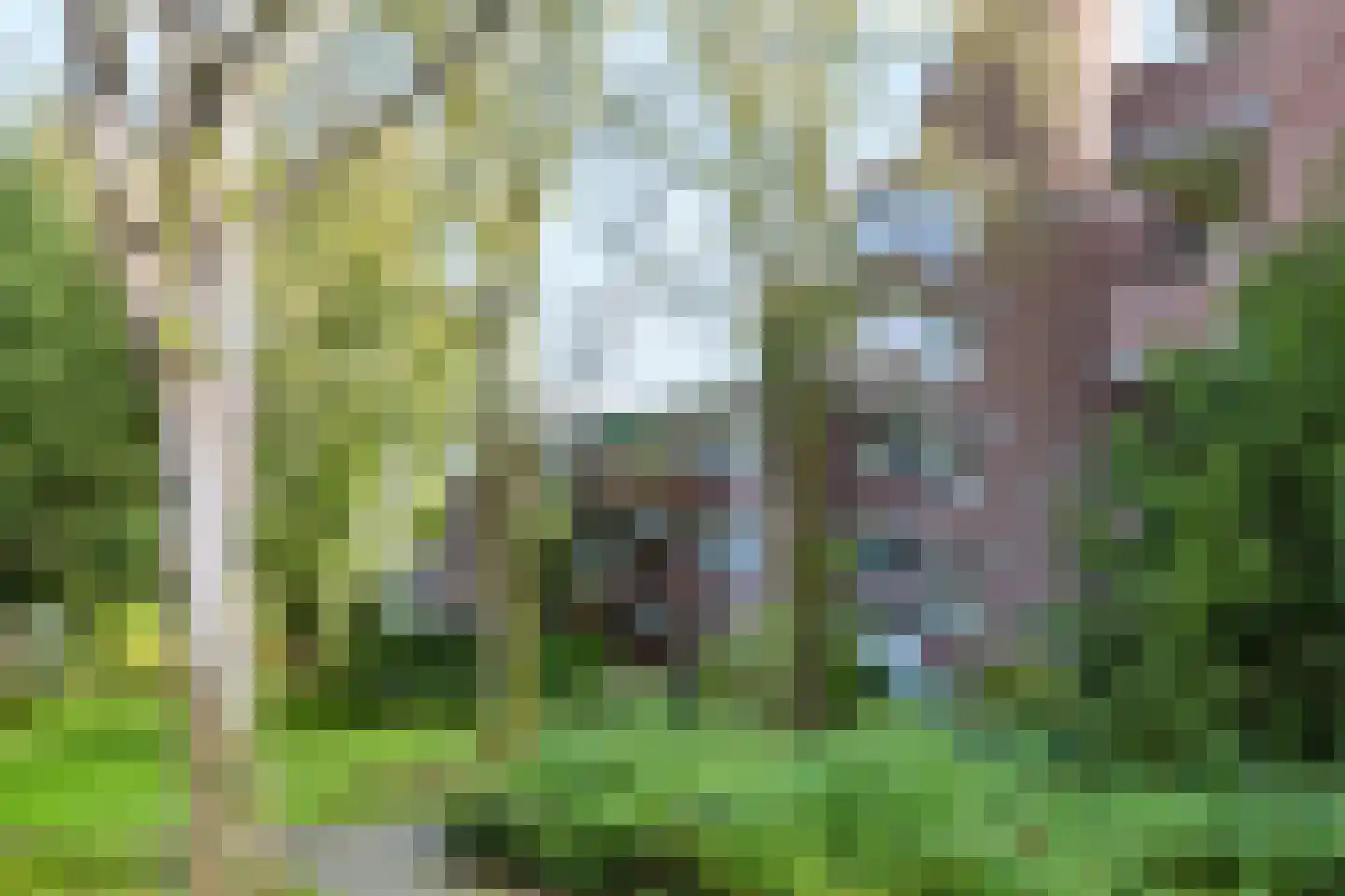 Snijdersplaats 203 Apeldoorn thumbnail 24