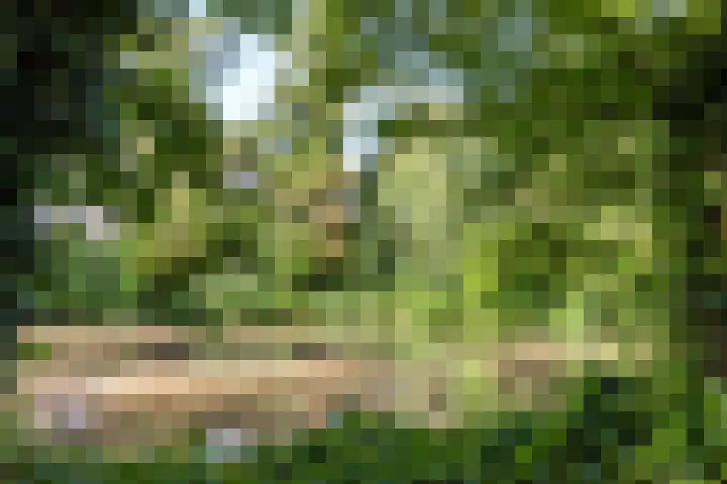 Snijdersplaats 203 Apeldoorn thumbnail 25