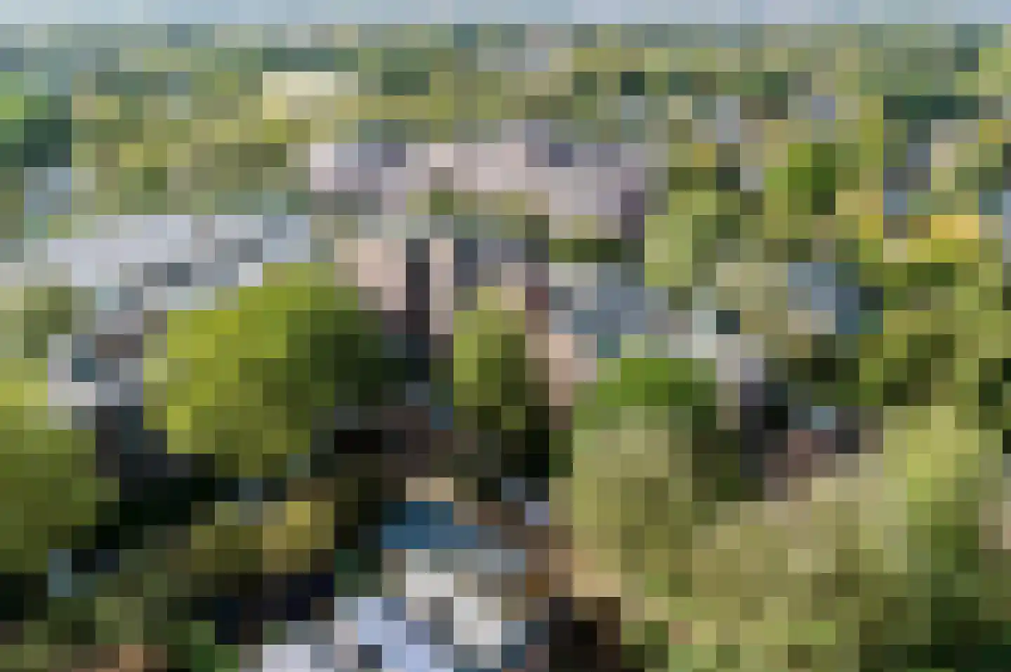 Snijdersplaats 203 Apeldoorn thumbnail 28