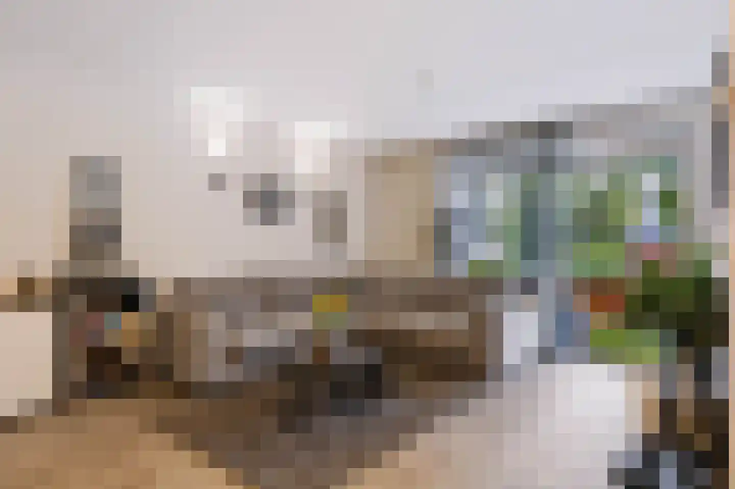 Snijdersplaats 203 Apeldoorn thumbnail 8