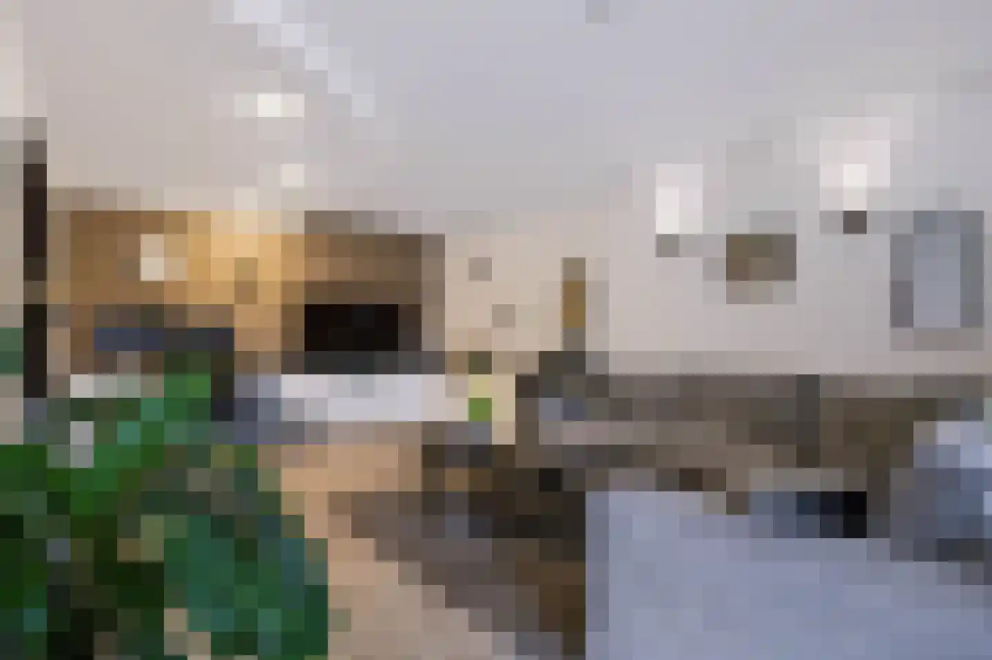 Snijdersplaats 203 Apeldoorn thumbnail 9