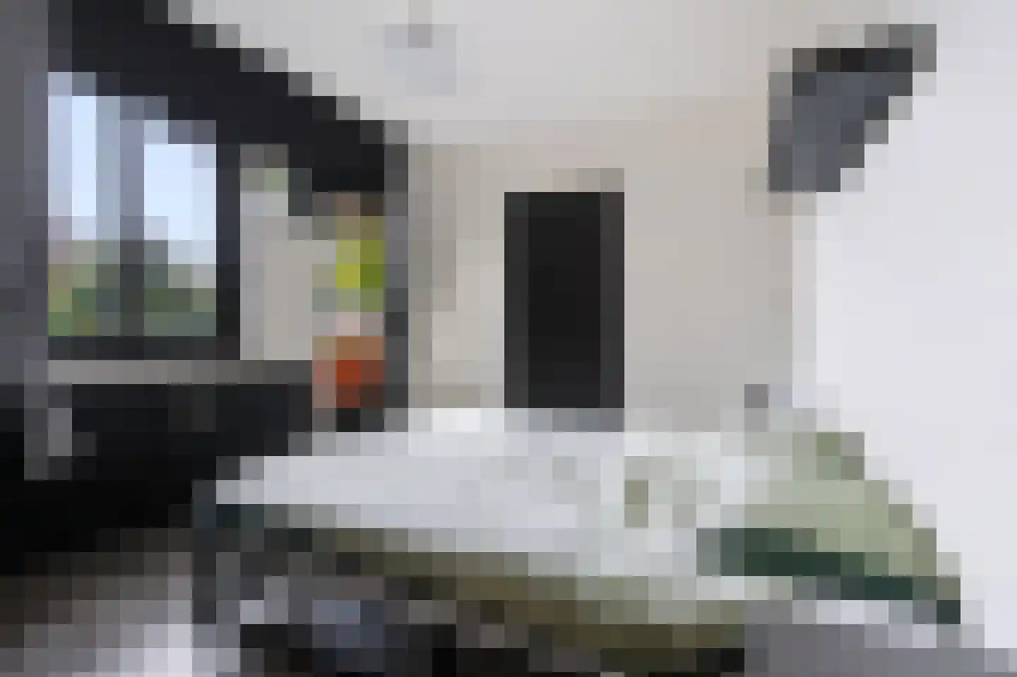 Snijdersplaats 303 Apeldoorn thumbnail 13