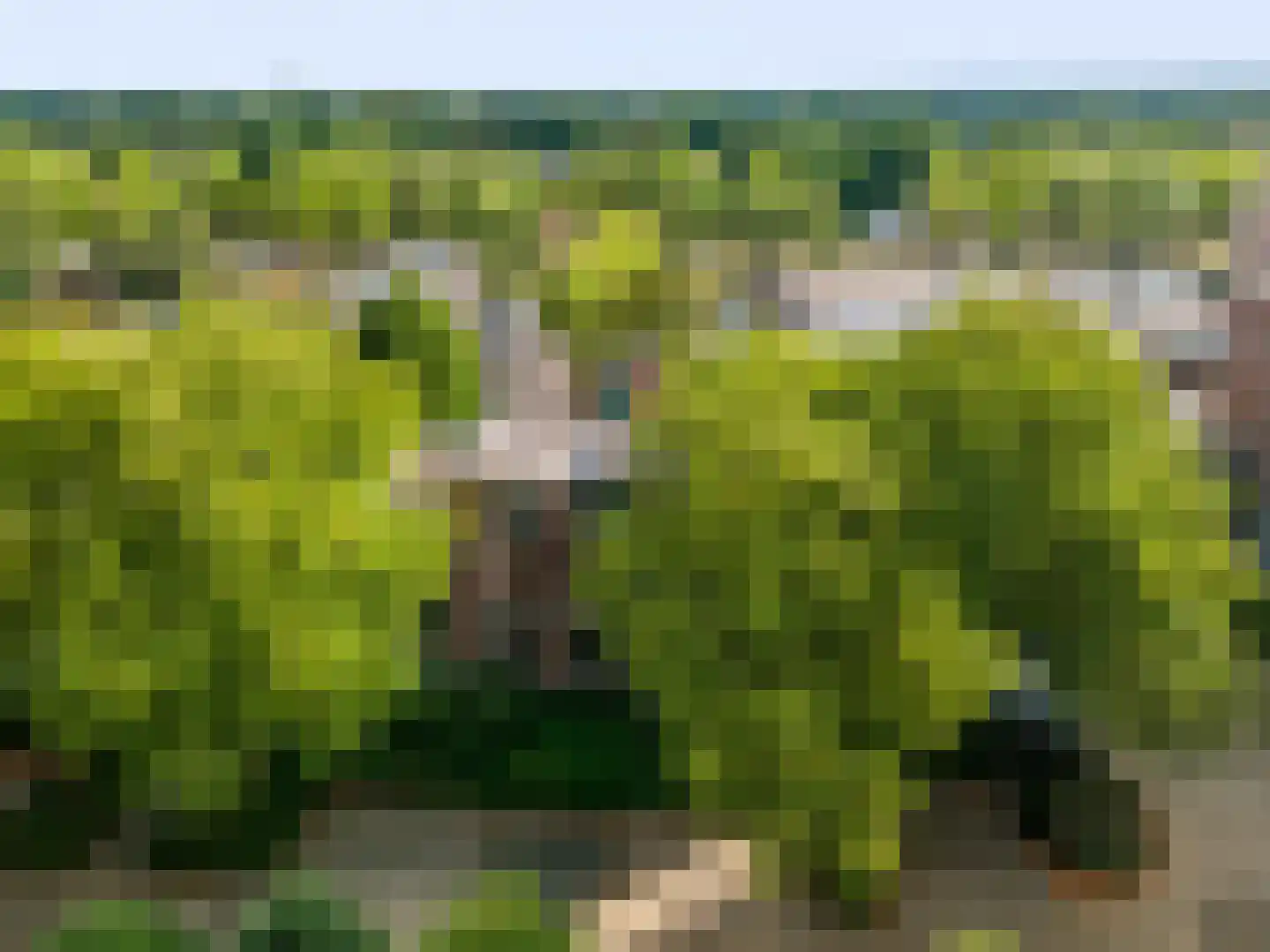 Snijdersplaats 303 Apeldoorn thumbnail 24