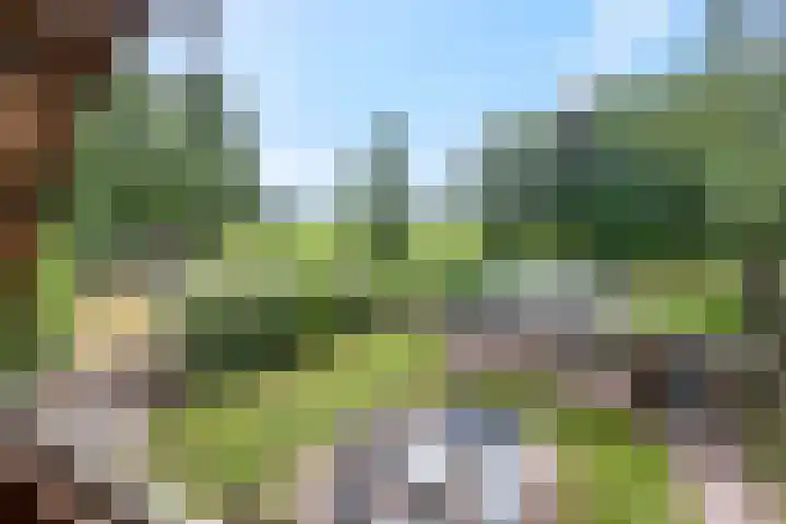 Snijdersteeg 14 Rhenen thumbnail 26