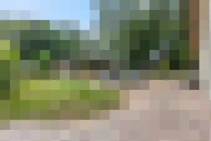 Snijdersteeg 14 Rhenen thumbnail 27