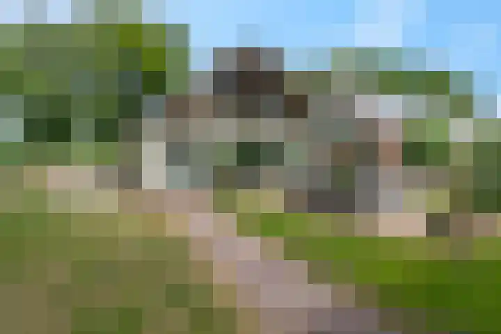 Snijdersteeg 14 Rhenen thumbnail 29