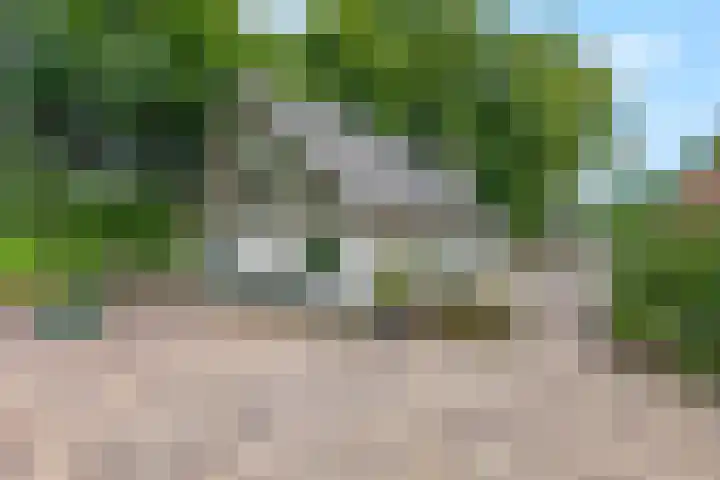 Snijdersteeg 14 Rhenen thumbnail 44