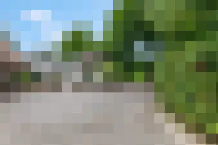 Snijdersteeg 14 Rhenen thumbnail 46