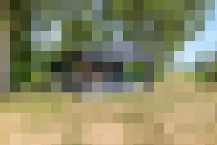 Snijdersteeg 14 Rhenen thumbnail 50