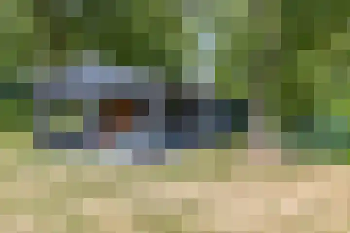 Snijdersteeg 14 Rhenen thumbnail 51