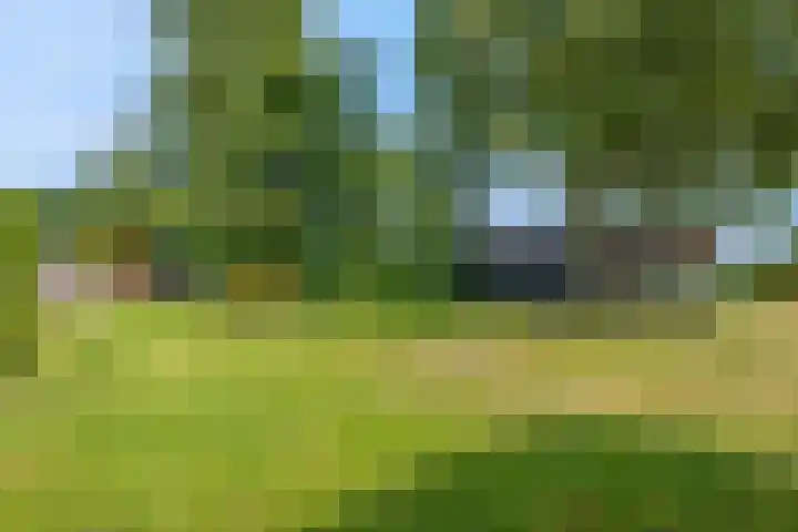 Snijdersteeg 14 Rhenen thumbnail 57