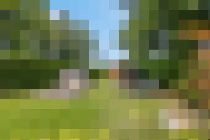 Snijdersteeg 14 Rhenen thumbnail 58