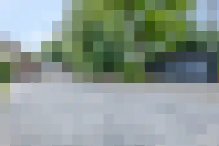 Snijdersteeg 14 Rhenen thumbnail 59