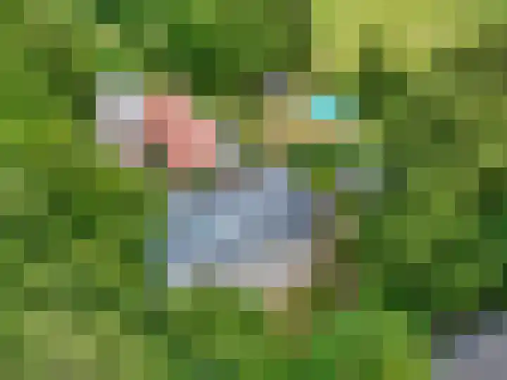 Snijdersteeg 14 Rhenen thumbnail 6